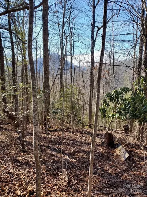 15 Meadows Town Rd, Marshall, NC 28753 photo 28