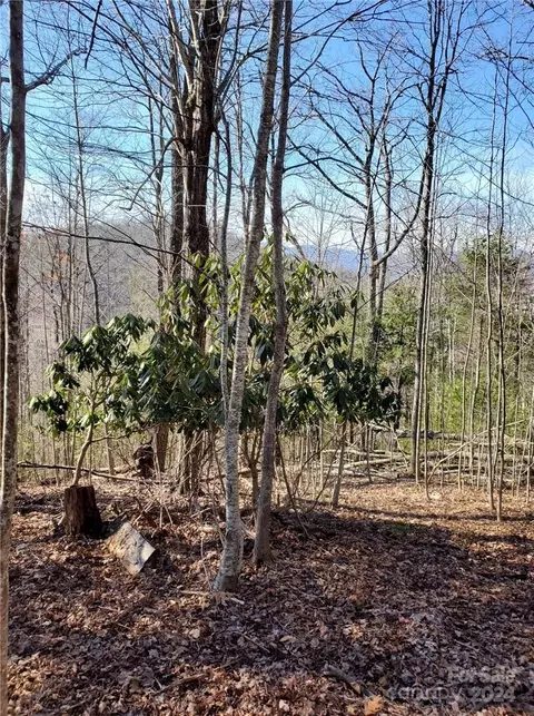 15 Meadows Town Rd, Marshall, NC 28753 photo 30