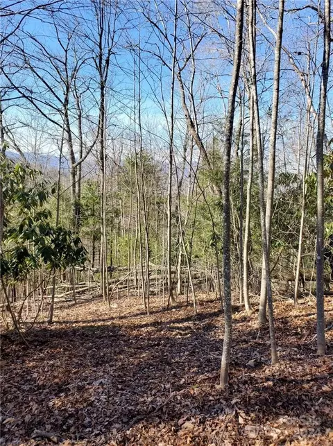 15 Meadows Town Rd, Marshall, NC 28753 photo 24