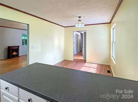 1 Bear Trl, Fairview, NC 28730 photo 10