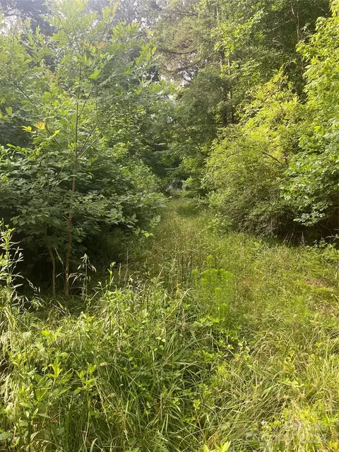 2492 Dudley Steele Rd, Lancaster, SC 29720 photo 2