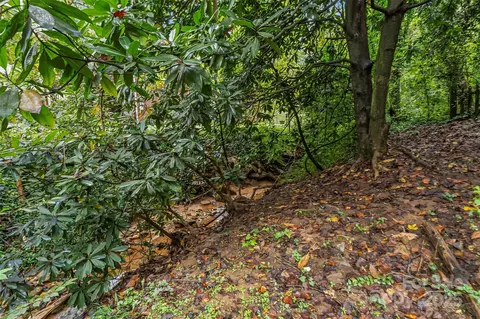 Other - 218 Davis Dr, Morganton, NC 28655 photo 5 of 5