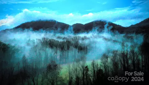 Other - 376 Page Farm Rd, Tryon, NC 28782 photo 9 of 16