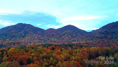 Other - 376 Page Farm Rd, Tryon, NC 28782 photo 10 of 16