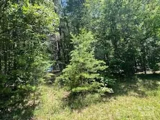 0000 Stone Way 12 Ln #12, Rutherfordton, NC 28139