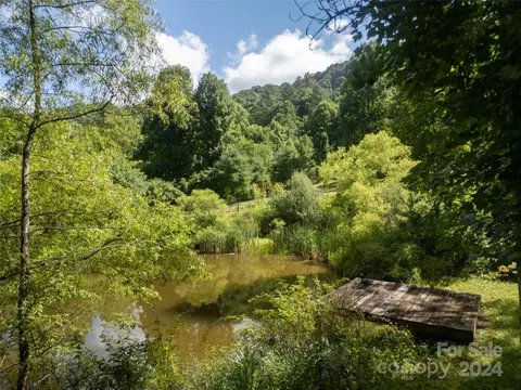 View/Area - 124 Wilds Branch Rd, Marshall, NC 28753 photo 4 of 5