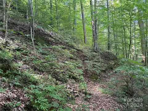 Other - 124 Wilds Branch Rd, Marshall, NC 28753 photo 16 of 17