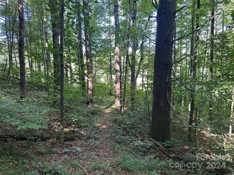 Other - 124 Wilds Branch Rd, Marshall, NC 28753 photo 14 of 17