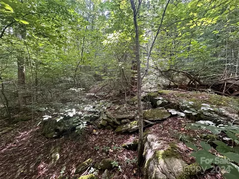 Other - 124 Wilds Branch Rd, Marshall, NC 28753 photo 17 of 17