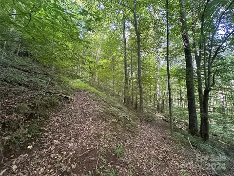 Other - 124 Wilds Branch Rd, Marshall, NC 28753 photo 15 of 17