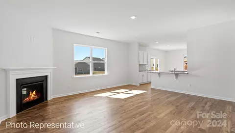 49 Dandelion Rd, Fletcher, NC 28732 photo 17