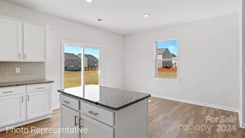 49 Dandelion Rd, Fletcher, NC 28732 photo 12