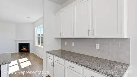 49 Dandelion Rd, Fletcher, NC 28732 photo 11