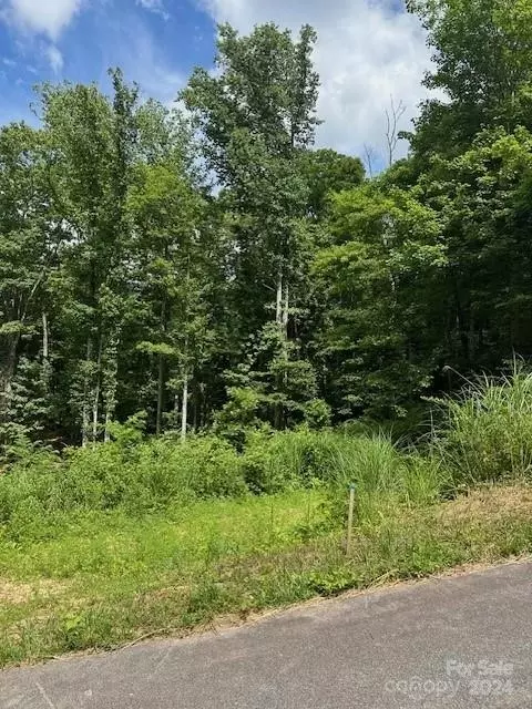 20 Maggies Ln, Asheville, NC 28803