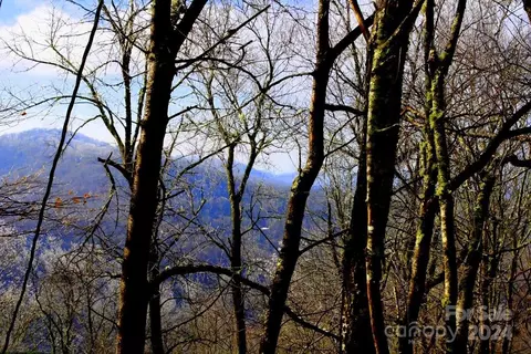 254 Grouse Thicket Ln, Mars Hill, NC 28754