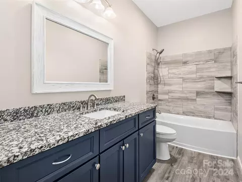 Bath - 91 Smokey Quartz Ln, Flat Rock, NC 28731 photo 3 of 4