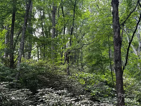 00 Huckleberry Mountain Rd, Hendersonville, NC 28739