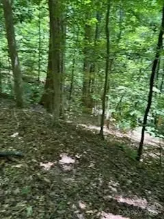 0 Cherokee Lot 11 Cir #LOT 11, Tryon, NC 28782