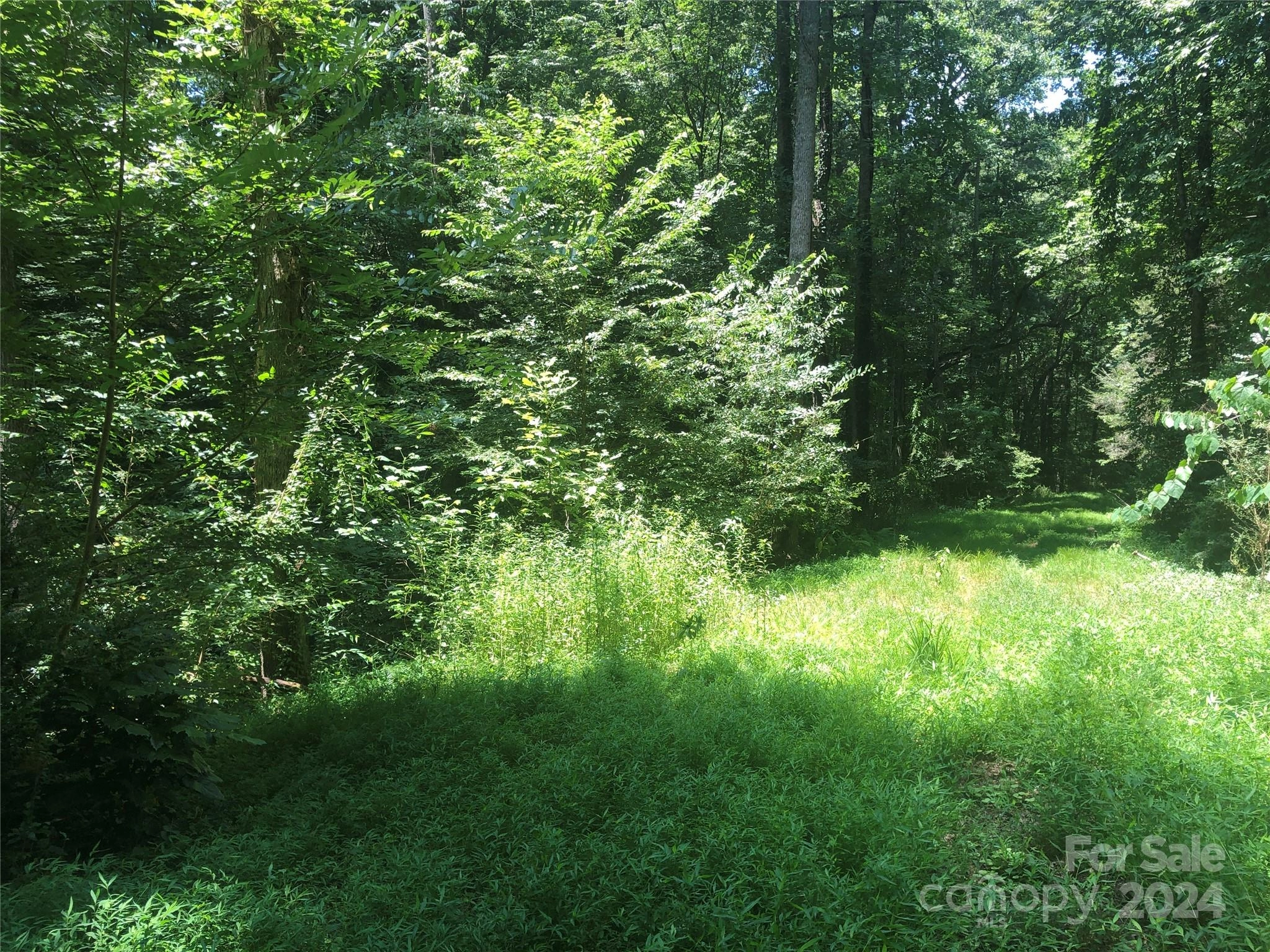 809 Bienvenue Nw Ave NW  