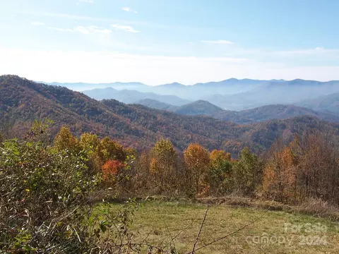1007 Van Arrington Rd, Clyde, NC 28721 photo 34