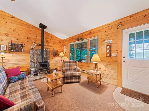 1007 Van Arrington Rd, Clyde, NC 28721 photo 7