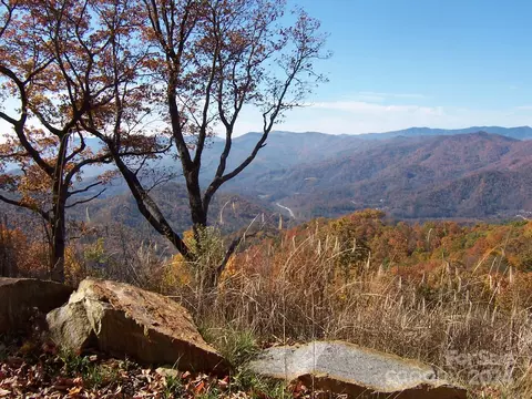 1007 Van Arrington Rd, Clyde, NC 28721 photo 35