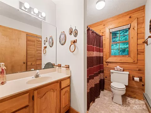 1007 Van Arrington Rd, Clyde, NC 28721 photo 19