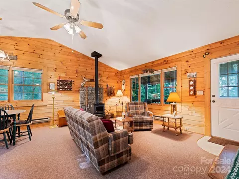 1007 Van Arrington Rd, Clyde, NC 28721 photo 8