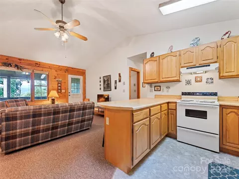 1007 Van Arrington Rd, Clyde, NC 28721 photo 15