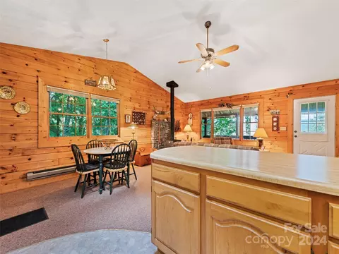 1007 Van Arrington Rd, Clyde, NC 28721 photo 16