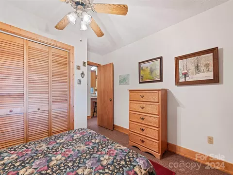 1007 Van Arrington Rd, Clyde, NC 28721 photo 18
