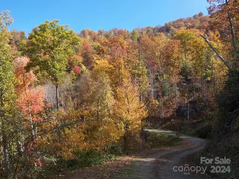 1007 Van Arrington Rd, Clyde, NC 28721 photo 33