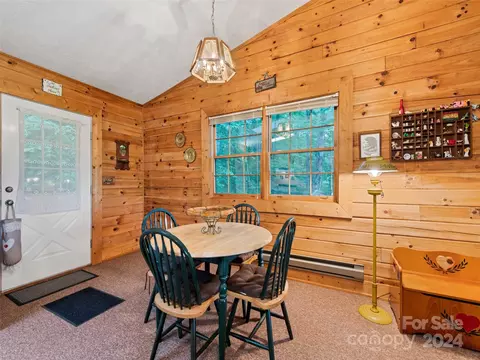 1007 Van Arrington Rd, Clyde, NC 28721 photo 12