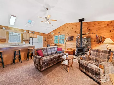 1007 Van Arrington Rd, Clyde, NC 28721 photo 6