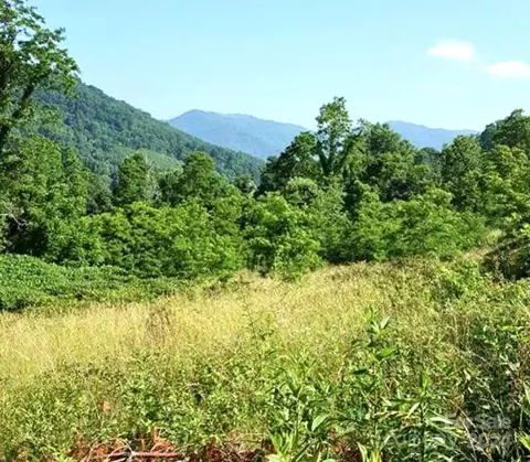 00 Split Pine Cv, Clyde, NC 28721