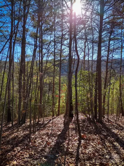 Pine Needle Lane, Nebo, NC 28761