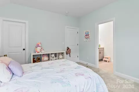 1274 Rae Ct, Denver, NC 28037 photo 44