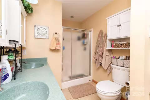 Bath - 57 Sunshine Acres Dr, Sylva, NC 28779 photo 4 of 5