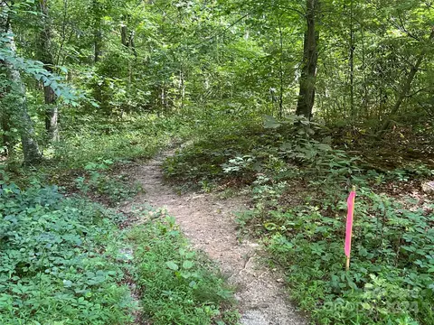0000 Goldenwood Ln, Mills River, NC 28759