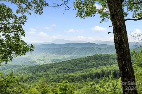 Other - 76 Panther Run, Brevard, NC 28712 photo 3 of 15