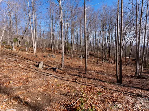 220 Chesterfield Dr, Mill Spring, NC 28756 photo 12