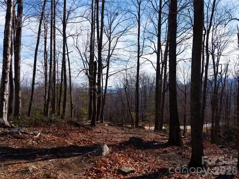 220 Chesterfield Dr, Mill Spring, NC 28756 photo 6