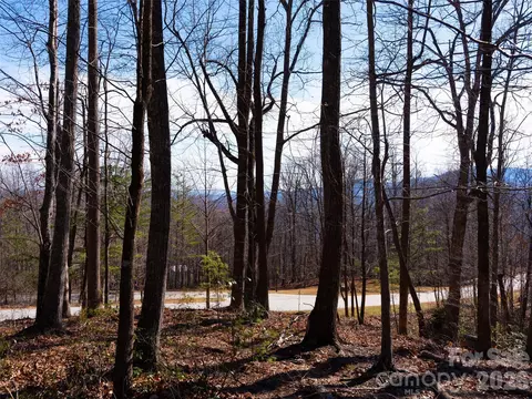 220 Chesterfield Dr, Mill Spring, NC 28756 photo 17