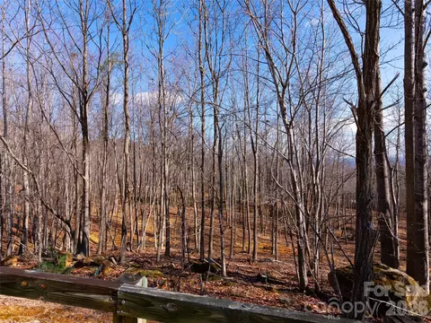 220 Chesterfield Dr, Mill Spring, NC 28756 photo 19