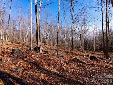 220 Chesterfield Dr, Mill Spring, NC 28756 photo 11