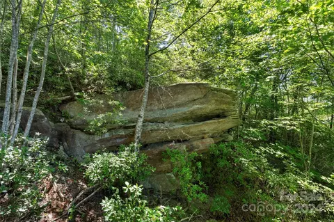 44 Split Rock Rd, Brevard, NC 28712 photo 6