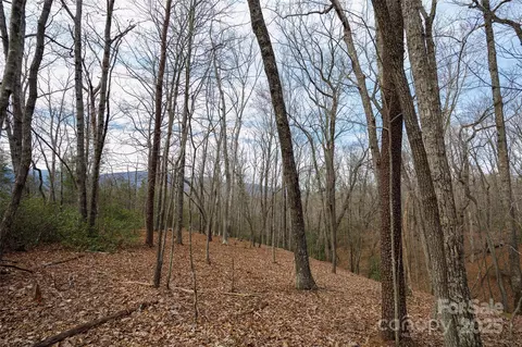 0 Lytle Mountain Rd, Old Fort, NC 28762