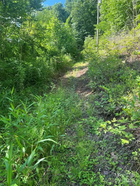 101 Tatertown Rd, Newland, NC 28657