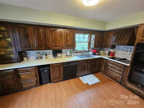 4893 Swinging Bridge Rd, Conover, NC 28613 photo 14