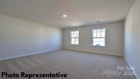 35 Dandelion Rd, Fletcher, NC 28732 photo 21